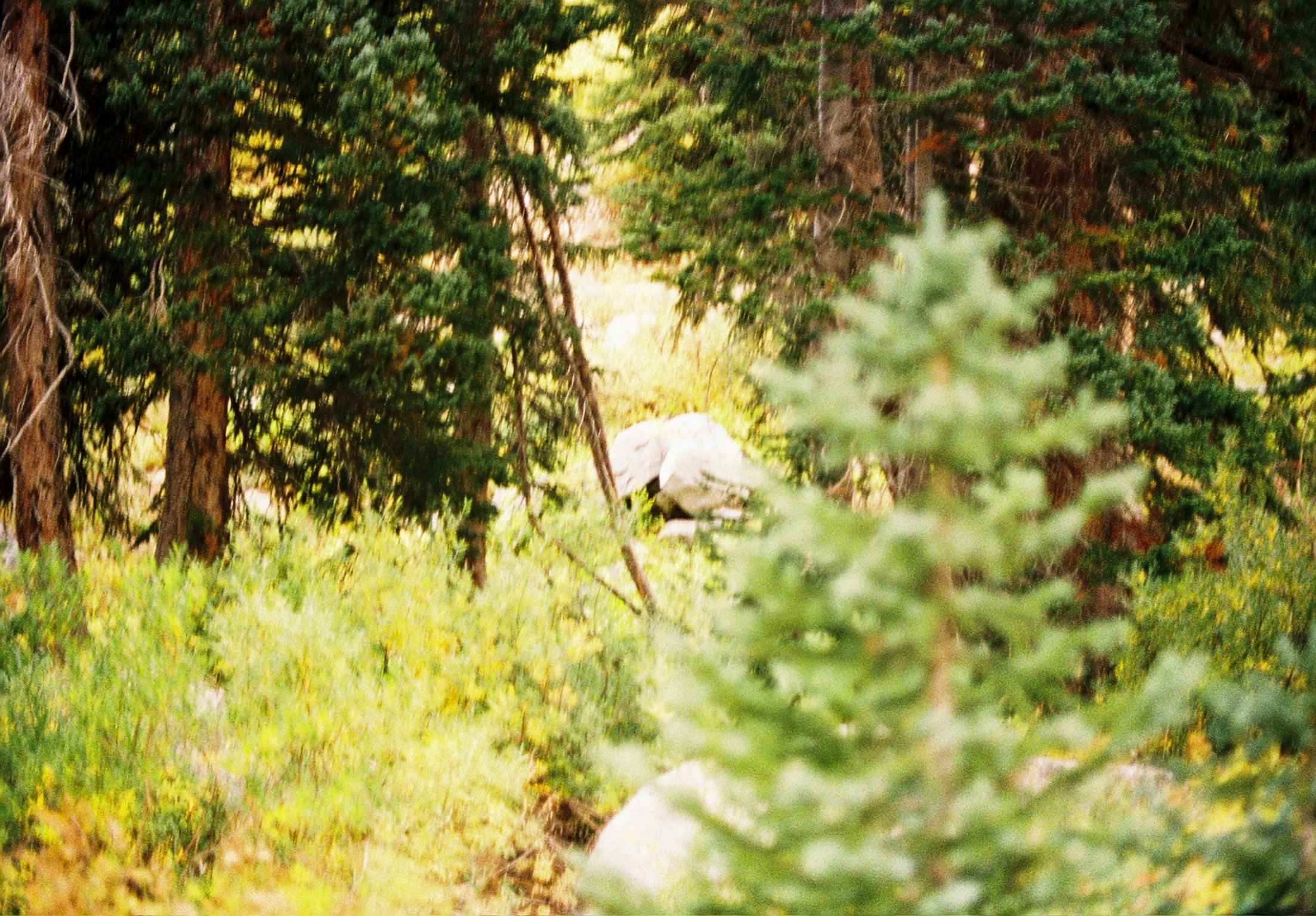 Behind the scenes out-take