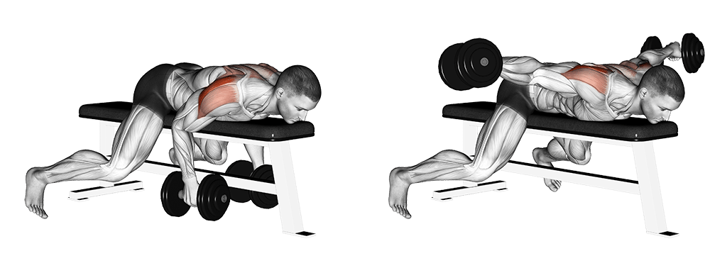 Übung für die hintere Schulter – Fokus auf dem hinteren Deltamuskel