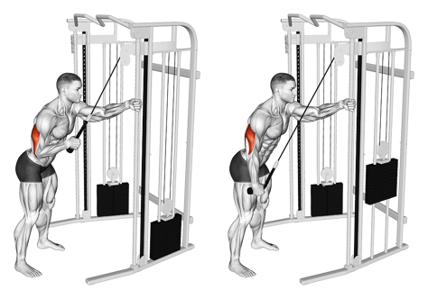 Übung für die Arme - Trizepsdrücken am Kabelzug