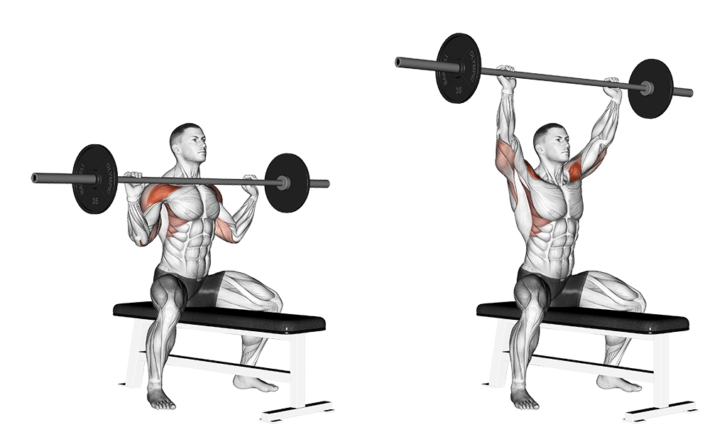 Schulterdrücken mit der Langhantel