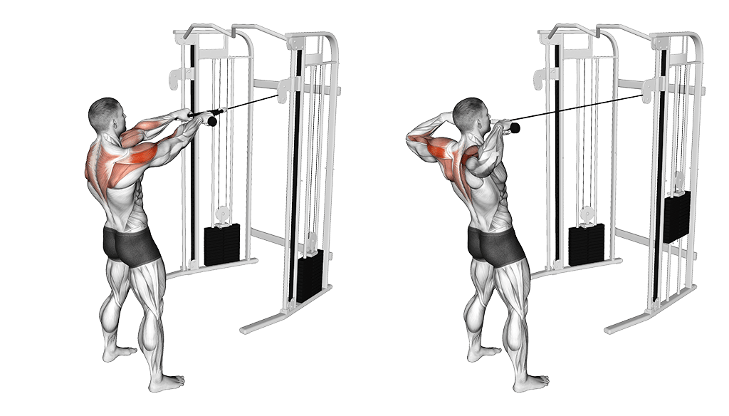 Fokus auf dem hinteren Deltamuskel und der Rotatorenmanschette