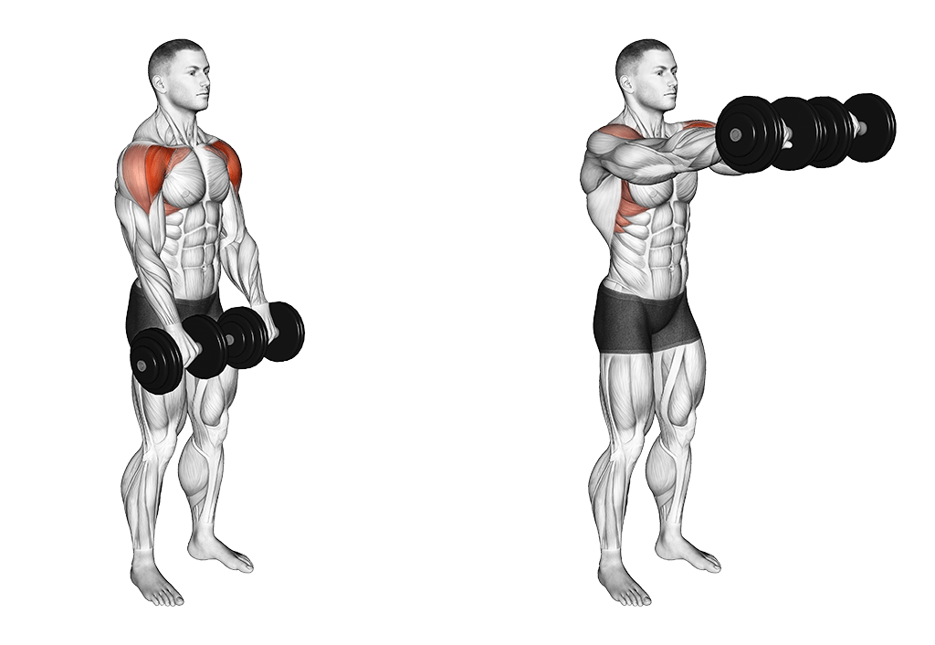 Frontheben mit Kurzhanteln