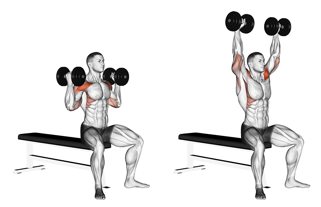 Face Pulls am Kabelzug