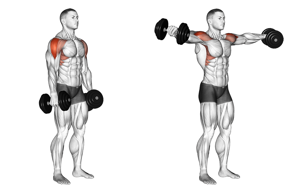 Seitheben mit Kurzhanteln