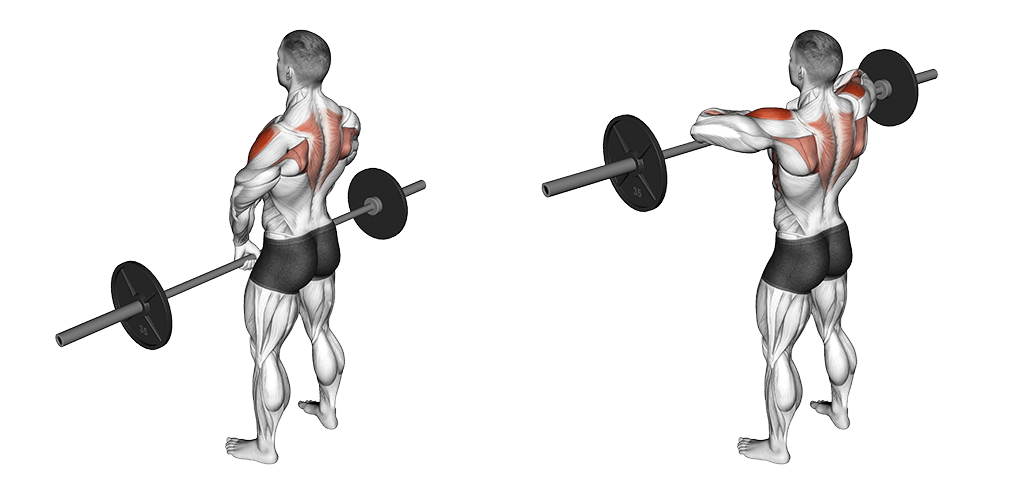 Übung für die Schultern – Fokus auf den mittleren Deltamuskel und Trapezmuskel