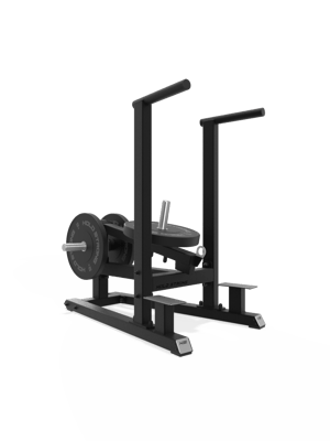 HOLD STRONG Dip Station - Plate Loaded
