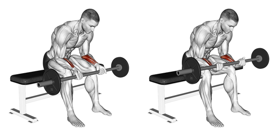 Übung für die Arme - Handgelenk-Curls für die Unterarme