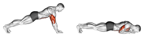 Übung für die Arme - Plank to Push-Up