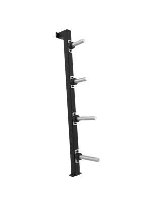 HOLD STRONG Elite - Bumper Stand - Wandregal für Gewichtsscheiben