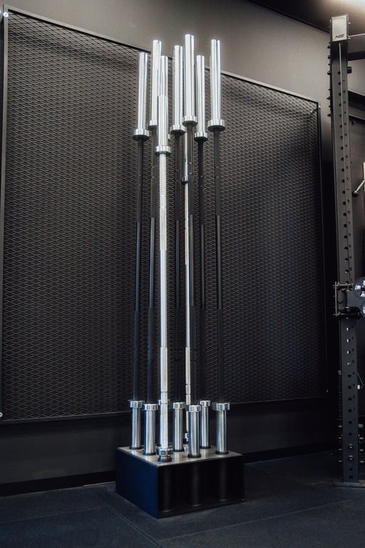 Storage für Langhanteln – sichere Aufbewahrung im Studio