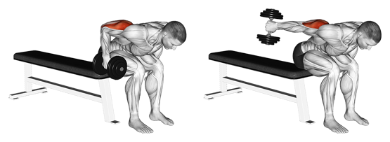 Übung für die Arme - Vorgebeugte Kickbacks für den Trizeps