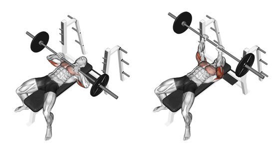 Übung für die Arme - Enges Bankdrücken für den Trizeps