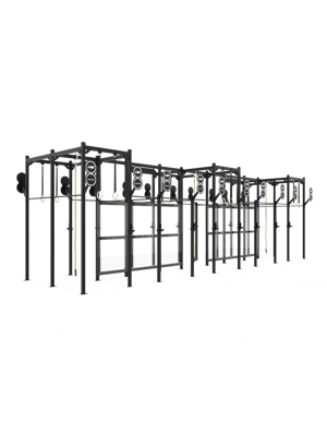 HOLD STRONG FItness Custom RIG IV