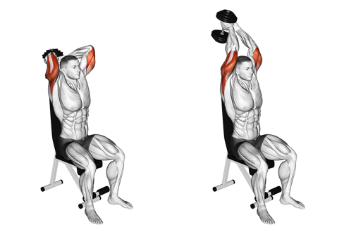 Übung für die Arme - Trizepsrücken über dem Kopf