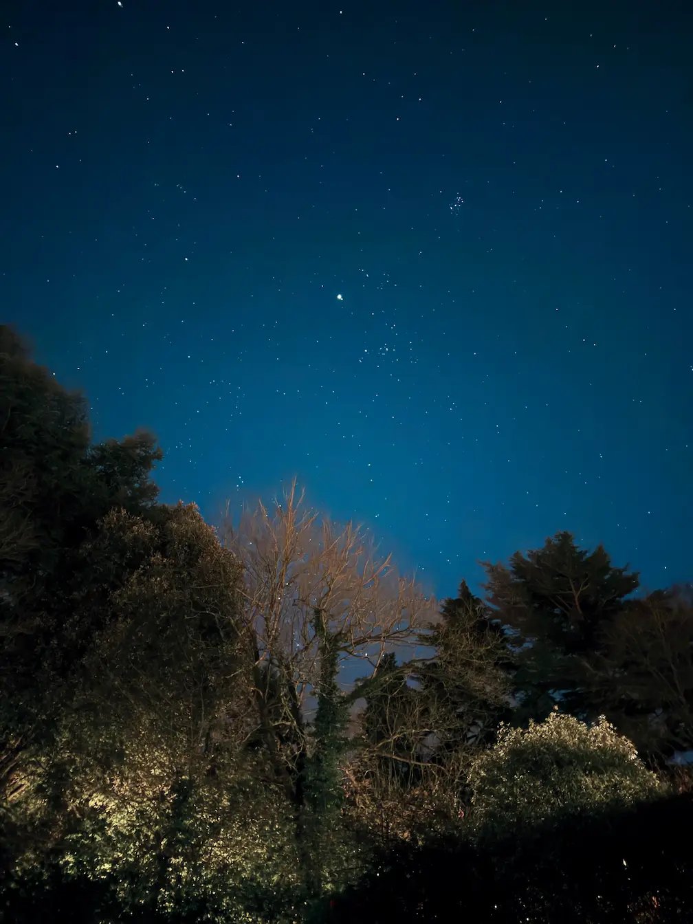 Starry night sky