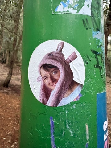 A circular photographic street sticker featuring a young person with short brown hair, smiling and winking at the camera. The subject is wearing a playful, oversized, fuzzy pink animal hood with long protrusions. The photographic style is clear and realistic against a plain white circular background. The sticker is placed on a textured, bright green metal pole that shows signs of weathering and urban wear. The setting is an outdoor, wooded area with blurred trees and a forest floor visible in the background. The overall mood is lighthearted and whimsical, characteristic of personal character stickers or casual urban art interventions.