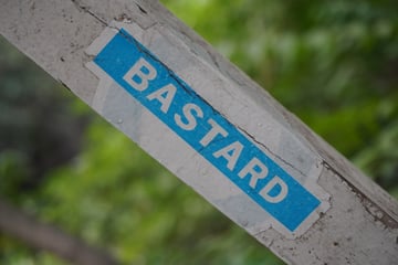A close-up photograph capturing a blue and white sticker with the word 'BASTARD' adhered to a weathered diagonal beam. The sharp focus on the man-made object contrasts with the soft, blurred greenery of the background.. Subject: The word 'BASTARD' in bold white capital letters. Style: minimalist typographic label. Details: The sticker is slightly worn, with peeling edges and a visible crack, indicating exposure to the elements.. Shape: rectangular. Setting: outdoor natural environment. Surface: a diagonal structural beam, possibly part of a railing or fence. Colors: #0079C1 (Bright Blue),  #FFFFFF (White),  #C0C0C0 (Silver Grey),  #4B5320 (Olive Drab). Composition: strong diagonal lead-in line with shallow depth of field. The sticker's stark, industrial aesthetic and aggressive terminology create a sense of 'urban grit' in an otherwise tranquil natural setting. It suggests a reclaim of space through labeling, or perhaps a commentary on the harshness of human social constructs when compared to the organic world.