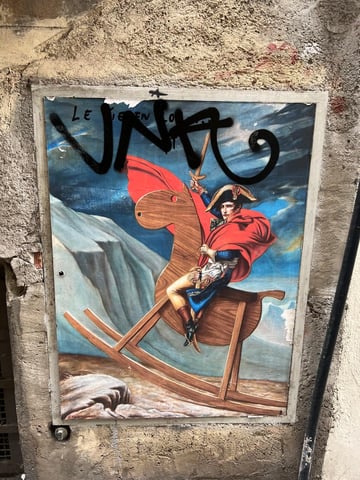 Il cavallo bianco di Napoleone in realtà era color legno.
