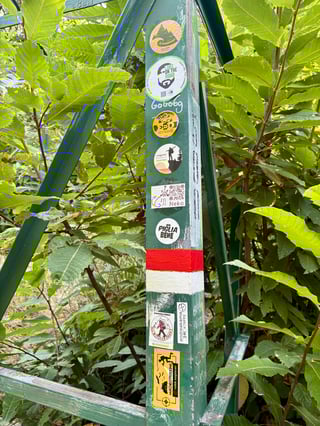 A vertical green metal post, likely part of a trail infrastructure, is adorned with a variety of outdoor and travel-related stickers. The weathered surface is framed by lush, vibrant green foliage, documenting the passage of numerous explorers.. Subject: Luke on the Road traveler profile. Style: Graphic minimalist illustration. Details: A silhouette of a bearded man with the Italian text 'Fidati del tuo cammino', signifying trust in one's path.. Shape: Circular. Setting: Lush woodland environment. Surface: Metal support beam for a bridge or trail marker. Colors: #355E3B (Deep Green), #F1C40F (Sun Yellow), #E74C3C (Trail Red), #FFFFFF (Stark White). Composition: Close-up vertical shot emphasizing the texture of the stickers against the organic background. This sticker-covered post acts as a physical guestbook for the trail, where hikers leave behind a piece of their identity. It represents a fascinating intersection where urban 'slapping' culture meets the solitude of nature, creating a mosaic of shared human experience and community belonging in the wilderness.