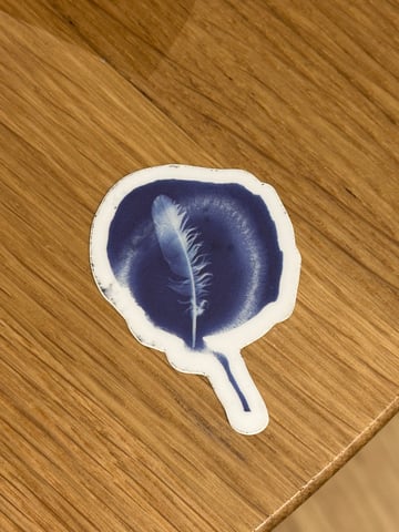 cyanotype print of a feather