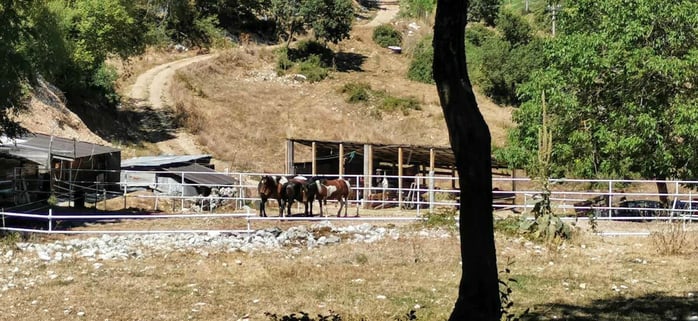 Paesaggio rurale caratteristiche e stile di vita