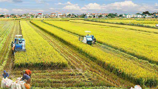 Paesaggio rurale caratteristiche e stile di vita