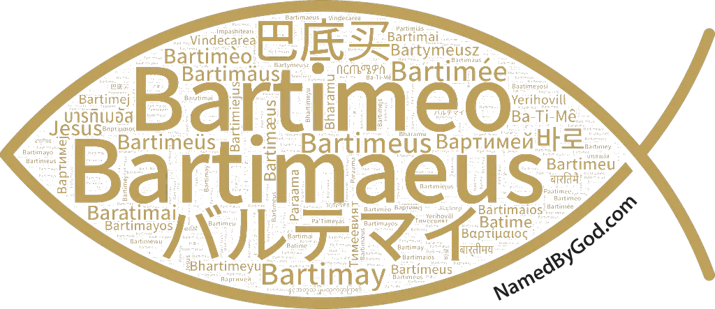 Bartimaeus in languages of the Bible