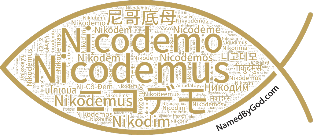 Nicodemus in languages of the Bible