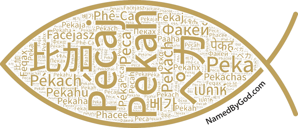 Pekah in languages of the Bible