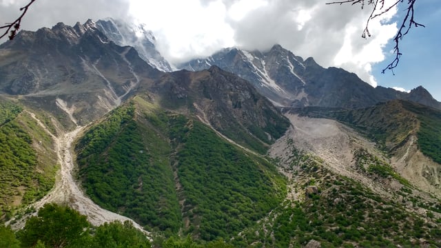 Gaumukh Tapovan Trek Lush Green Trail