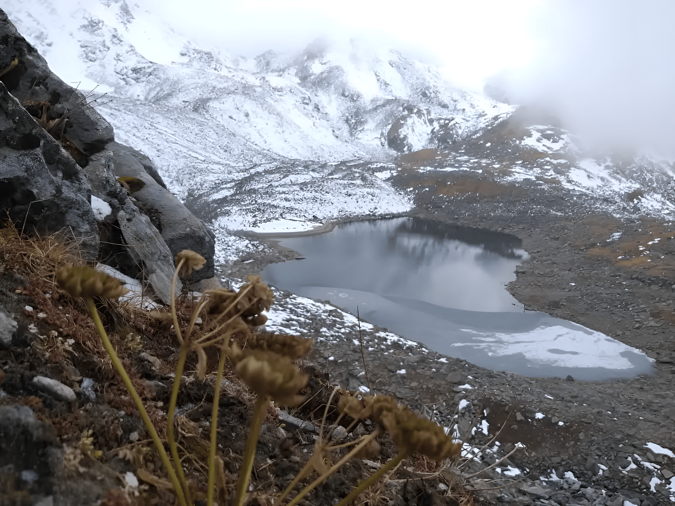 1191b196-0e3e-417f-8e7c-ab3bcbc10c00