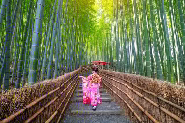 Bamboo forest, japan