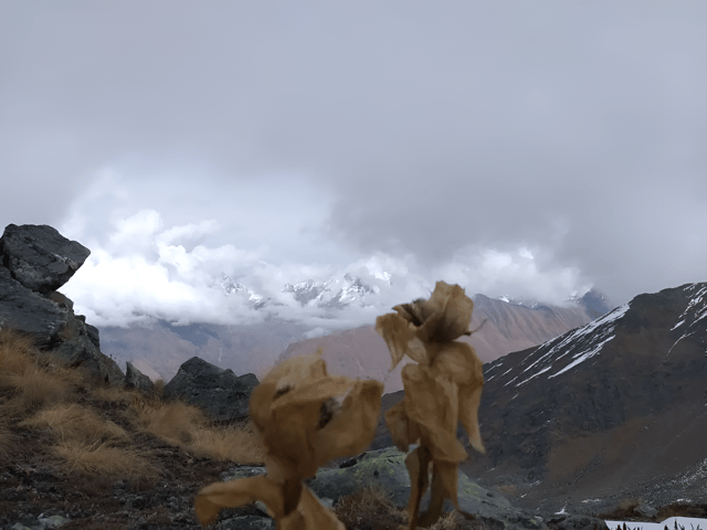 Trekyaari Maldaru Trek