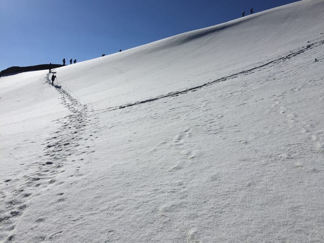 Pangarchulla Trek Snow Trail