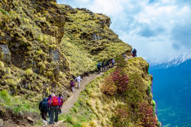 Pangarchulla Trek Forest trail