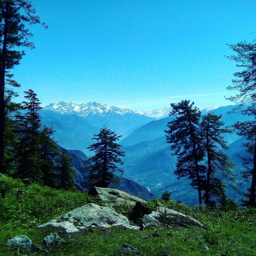 5586b888-fcd4-4dd4-02d9-df01db168c00