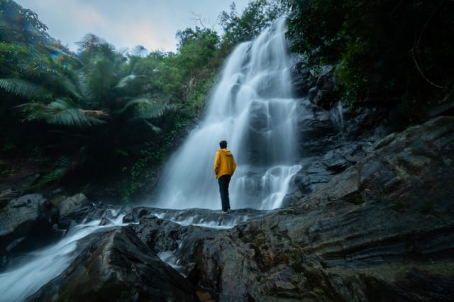 Kappimala waterfall Kannur