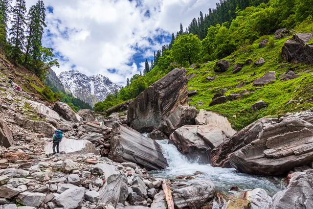 Rupin Pass Lush Forest