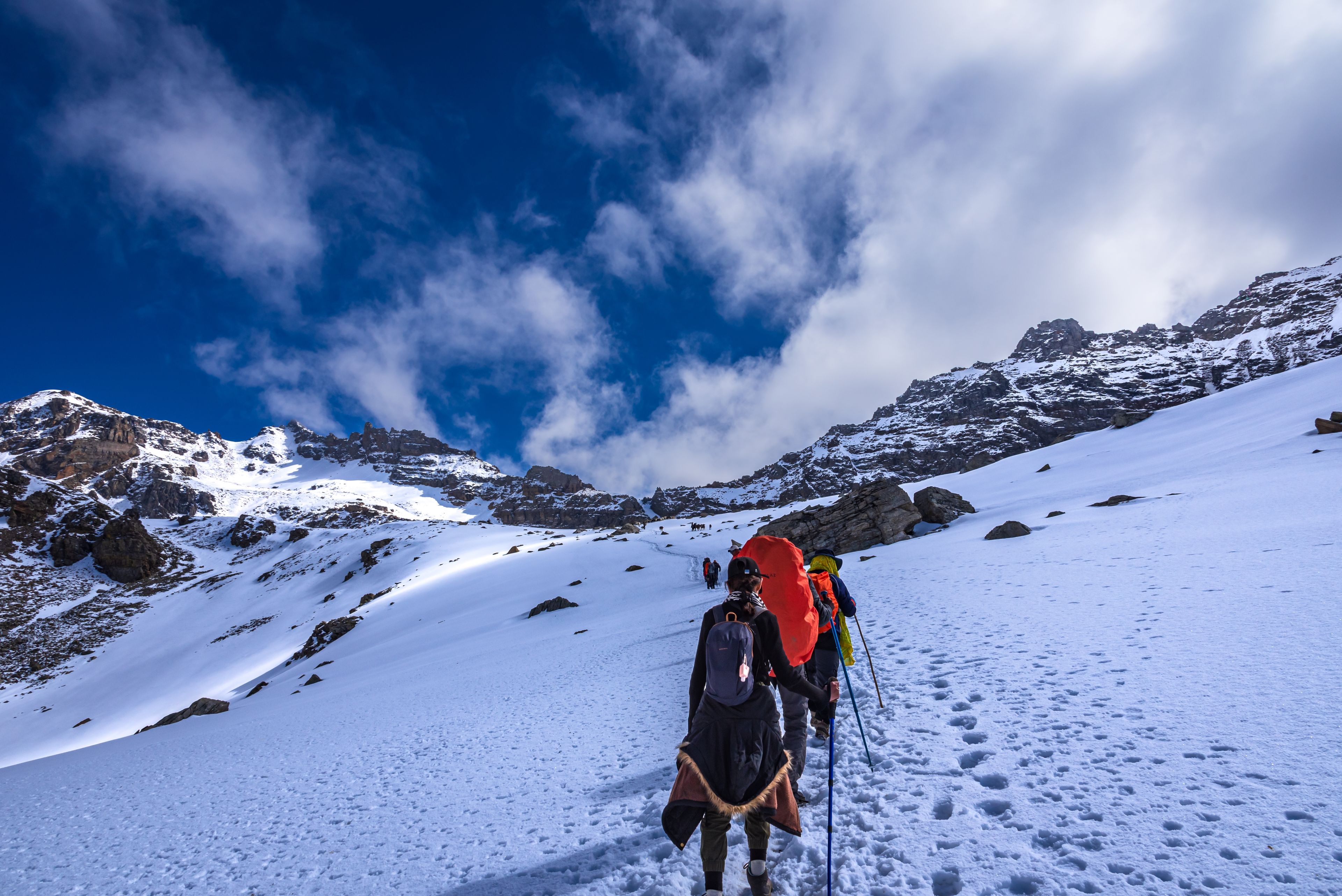 71b24df7-5c34-4d76-f320-0de1e8b79900