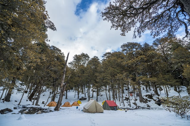 Pangarchulla Trek Campsite