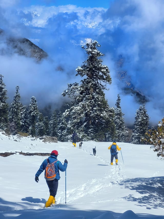 Kuari Pass Snow Trail