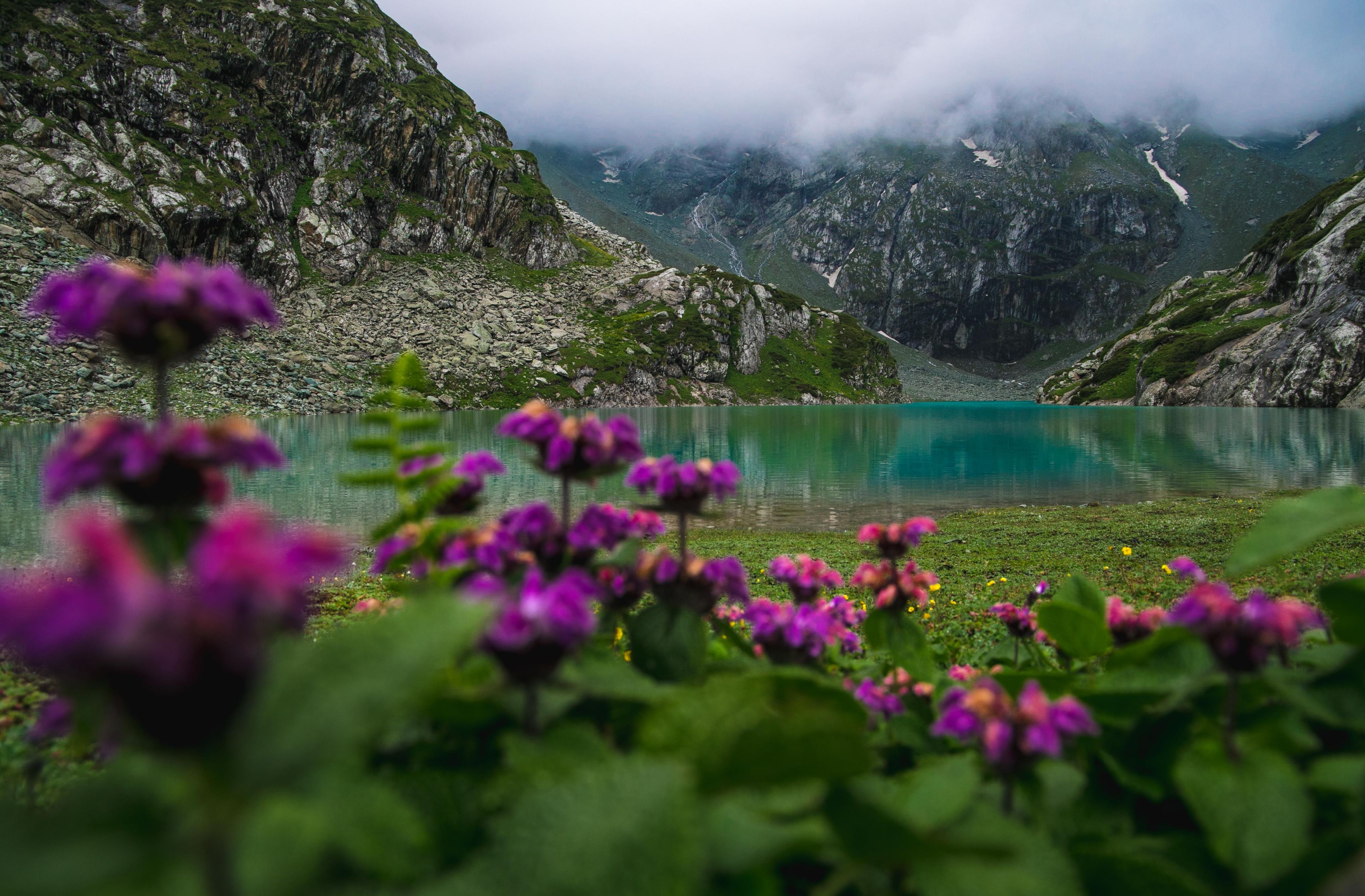 85ab558f-5881-46eb-a026-d74f44f97800