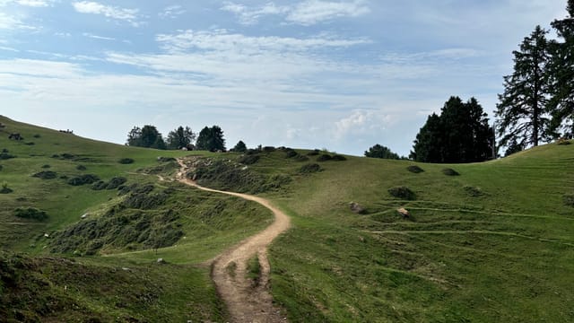 Chakrata Trek Moila Top