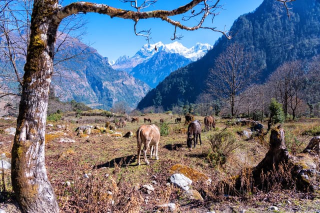 manaslu-valley-landscape.