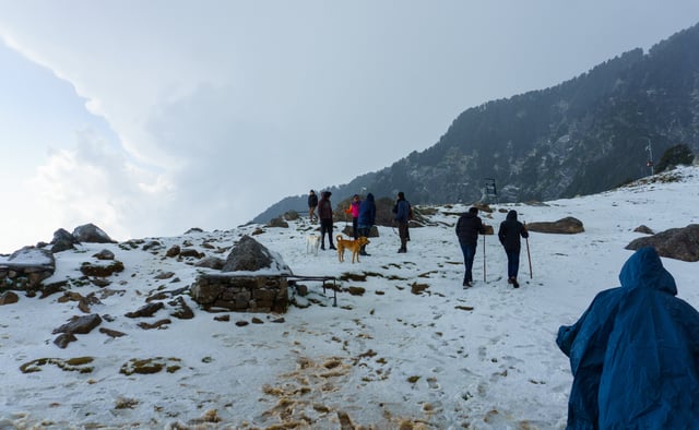 Triund Top Snow Trekyaari