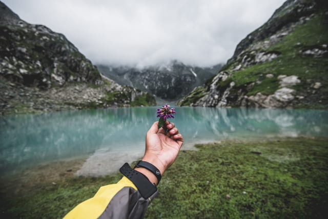Tulian Lake Trek Flower