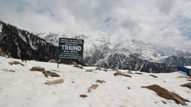 Triund Snow