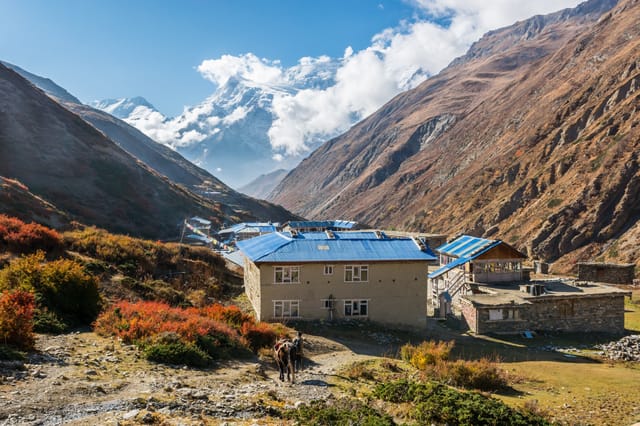 annapurna-circuit-mountain-lodge