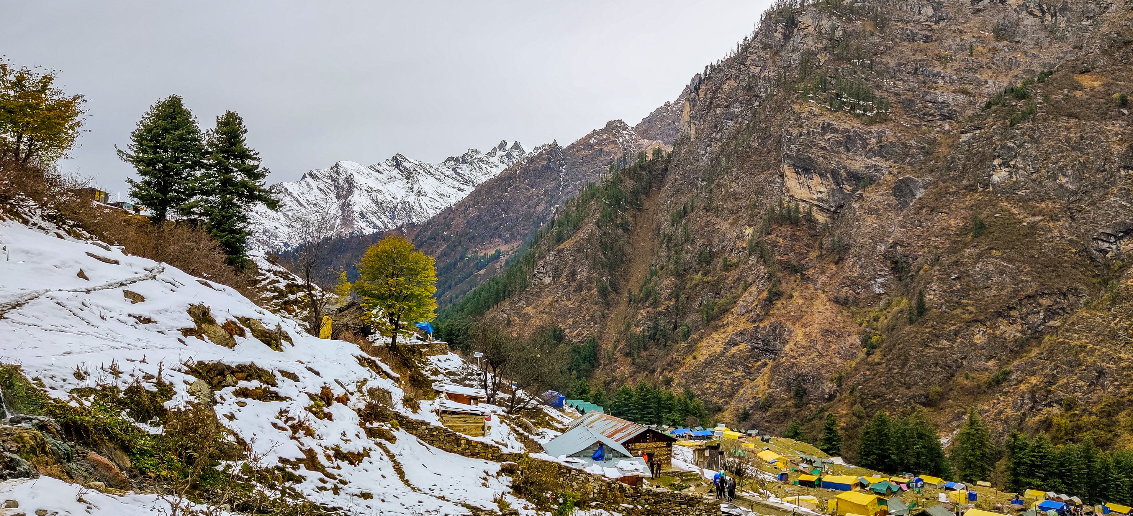 c5dfdf9b-4fa1-4cc8-fa39-fae6ce207a00