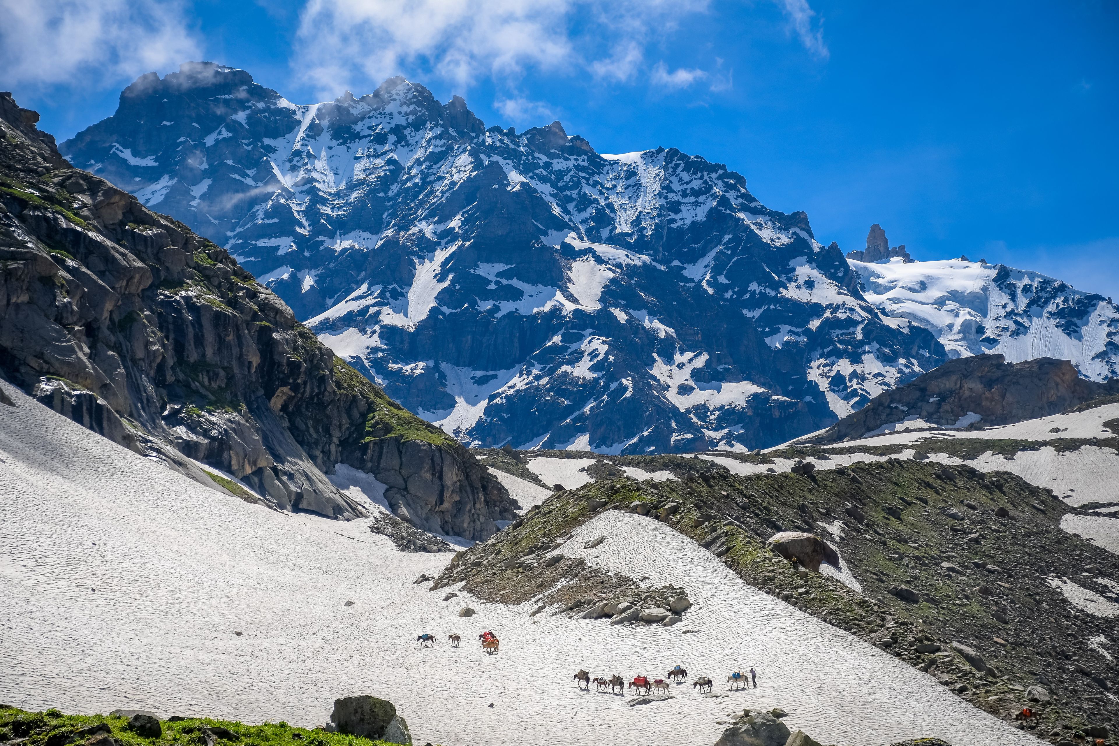 c9bb72c6-3736-42c9-8d27-3b1ac51ff300